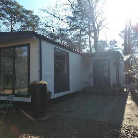 Wulft 47 Zonnig Gezellig 6P Chalet Met Zwembad In Bosrijke Omgeving Op Familie Camping De Vossenburcht IJhorst Exterior foto